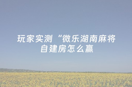 玩家实测“微乐湖南麻将自建房怎么赢（助赢神器通用版）