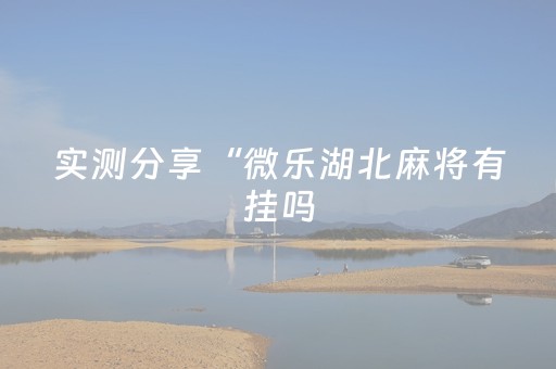 实测分享“微乐湖北麻将有挂吗（助赢神器通用版）
