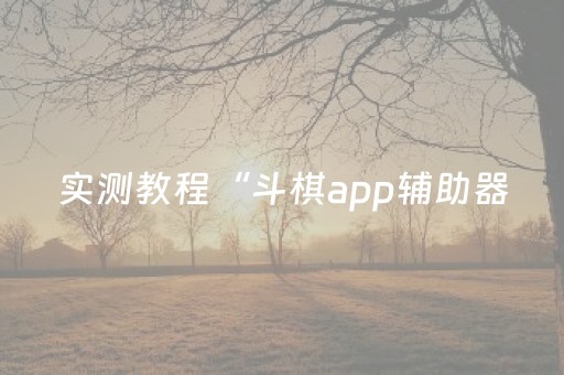 实测教程“斗棋app辅助器（专用辅牌神器免安装）