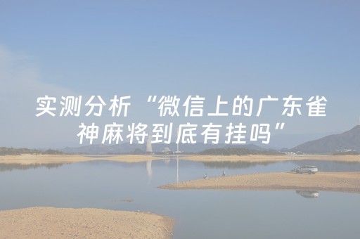 实测分析“微信上的广东雀神麻将到底有挂吗”（详细开挂教程）-哔哩哔哩