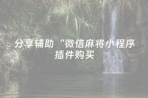 分享辅助“微信麻将小程序插件购买（助赢神器通用版）