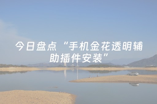 今日盘点“手机金花透明辅助插件安装”（详细开挂教程）-哔哩哔哩