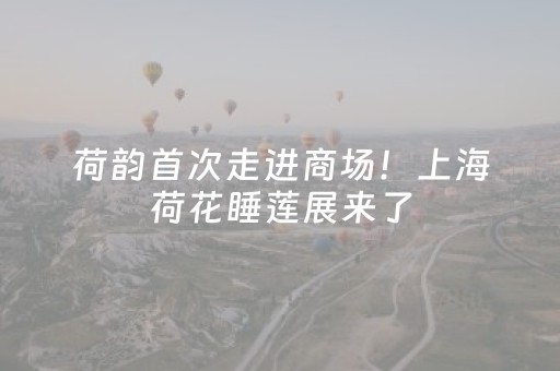 胜率设置方法“川麻圈辅助器手机版（专用辅牌神器免安装）