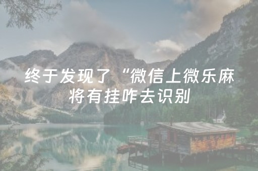 实测教程“微信金花黑科技（专用辅牌神器免安装）