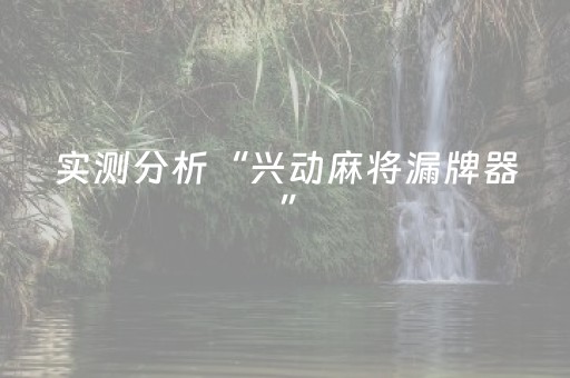 实测分析“兴动麻将漏牌器”（详细辅助教程）-哔哩哔哩