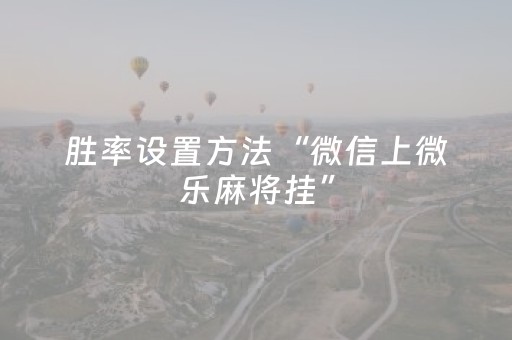 新版本“微信微乐麻将插件安装教程”（详细透视教程）-哔哩哔哩