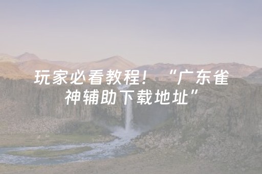 胜率设置方法“微乐广西麻将插件购买（助赢神器通用版）