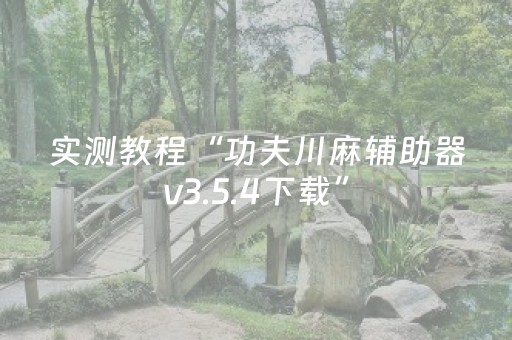 实测教程“功夫川麻辅助器v3.5.4下载”（详细透视教程）-哔哩哔哩