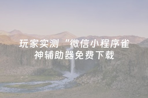 实测教程“大头十三水辅助工具（助赢神器通用版）