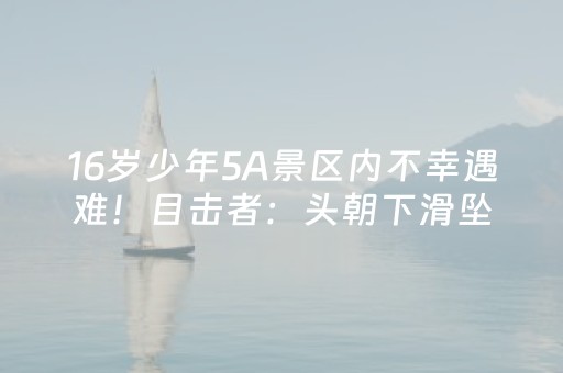终于发现了“手机金花开挂视频”（详细透视教程）-哔哩哔哩