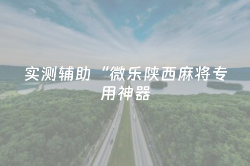 实测辅助“微乐陕西麻将专用神器（助赢神器通用版）