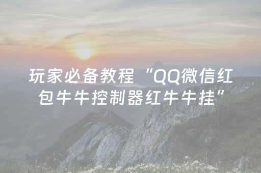 实测分析“牵手跑胡子辅助器最新版”（详细透视教程）-哔哩哔哩
