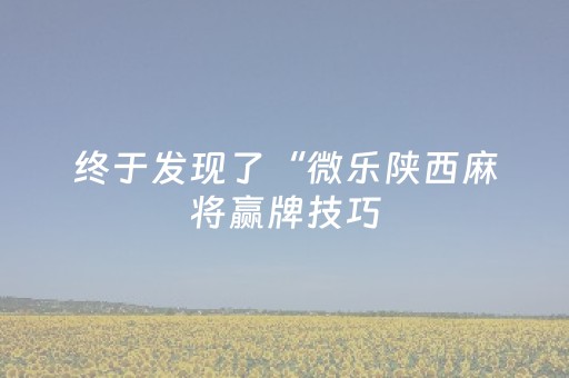 终于发现了“微乐陕西麻将赢牌技巧（助赢神器通用版）
