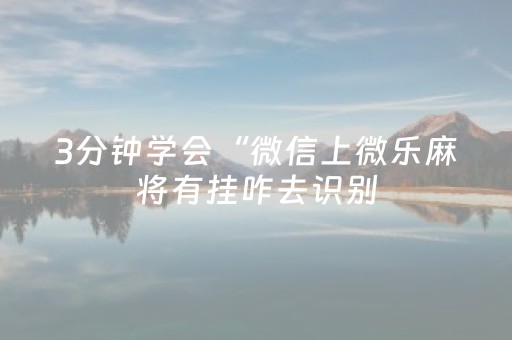 3分钟学会“微信上微乐麻将有挂咋去识别（助赢神器通用版）