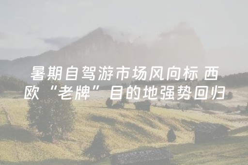 我来教大家“打麻将偷麻将视频教程”（详细透视教程）-哔哩哔哩