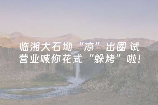 必看教程“解码器能解任何麻将机吗”（详细透视教程）-哔哩哔哩