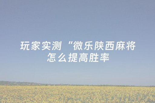 终于发现“雀神广东麻将插件骗局最新曝光”（详细透视教程）-哔哩哔哩