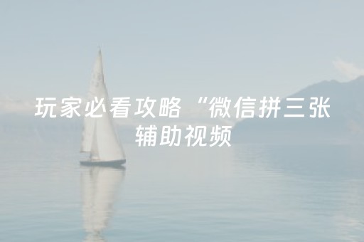 玩家必看攻略“微信拼三张辅助视频（专用辅牌神器免安装）
