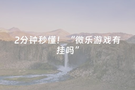 2分钟秒懂！“微乐游戏有挂吗”（详细透视教程）-哔哩哔哩