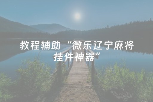 教程辅助“微乐辽宁麻将挂件神器”（详细透视教程）-哔哩哔哩