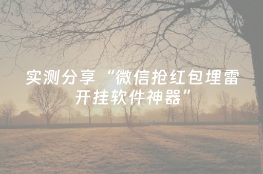 实测分享“微信抢红包埋雷开挂软件神器”（详细透视教程）-哔哩哔哩