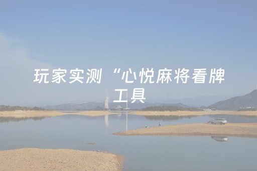 玩家实测“心悦麻将看牌工具（助赢神器通用版）
