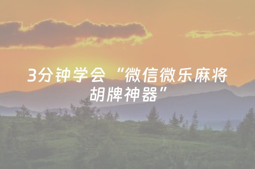 玩家实测“吉祥填大坑辅助器免费下载（专用辅牌神器免安装）
