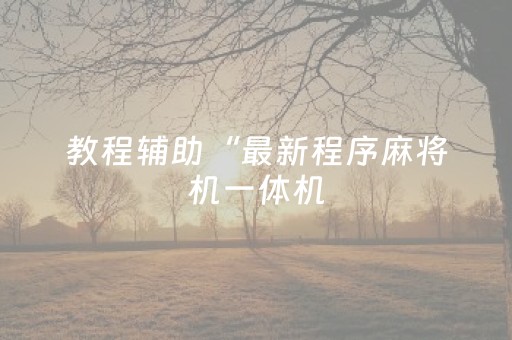 分享辅助“玩家微信埋雷辅助工具”（详细透视教程）-哔哩哔哩