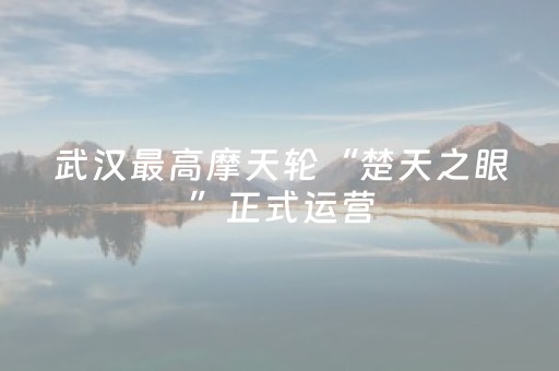 实测教程“微乐陕西麻将有挂吗（专用辅牌神器免安装）