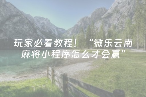 玩家必看教程！“微乐云南麻将小程序怎么才会赢”（详细辅助教程）-哔哩哔哩