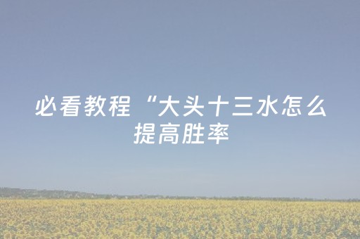 必看教程“大头十三水怎么提高胜率（专用辅牌神器免安装）