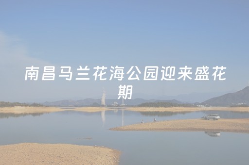 玩家必备教程“微信红包牛牛开挂软件作弊辅助哪里可以买”（详细透视教程）-哔哩哔哩