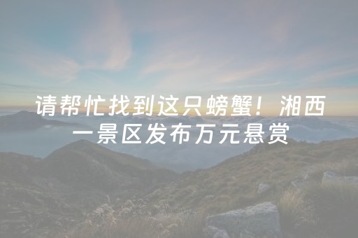 实测分享“微信金花挂怎么弄（专用辅牌神器免安装）