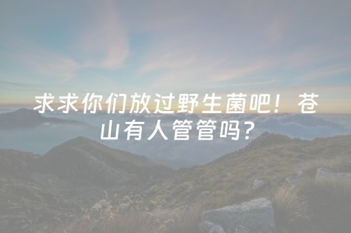 玩家实测“微乐陕西挖坑怎么能拿到好牌”（详细透视教程）-哔哩哔哩