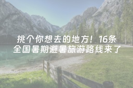终于发现“有没有诚信红包想出几就出几的”（详细透视教程）-哔哩哔哩