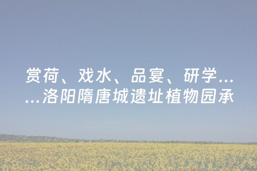 必看教程“扑克牌神器辅助器”（详细透视教程）-哔哩哔哩