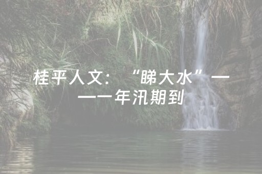 实测分析“微乐免费房间怎么提升胜率”（详细开挂教程）-哔哩哔哩