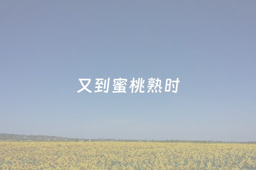 今日盘点“哥哥跑得快助牌软件”（详细透视教程）-哔哩哔哩