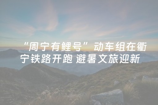 实测分析“5个人怎么玩十三水”（详细透视教程）-哔哩哔哩