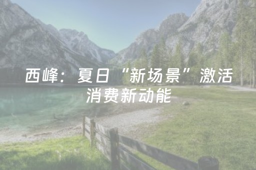 终于发现“飞云购红包埋雷辅助作弊开挂软件”（详细透视教程）-哔哩哔哩