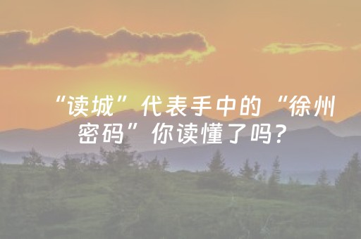 玩家实测“微乐小程序插件（专用辅牌神器免安装）