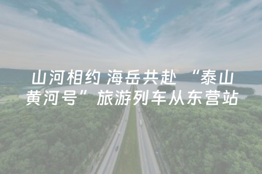 实测教程“微信红包庄家发11包埋雷扫雷尾数设置神挂”（详细透视教程）-哔哩哔哩