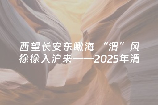玩家必看攻略“最先进麻将机程序安装有哪种”（详细透视教程）-哔哩哔哩