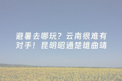 今日实测“手机金花辅助器通用版苹果”（详细辅助教程）-哔哩哔哩