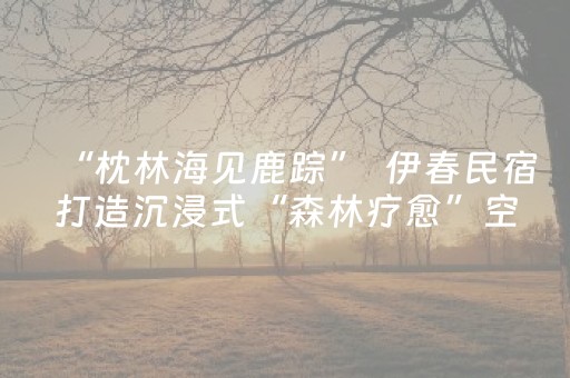 实测分享“微乐湖南麻将自建房怎么赢”（详细开挂教程）-哔哩哔哩