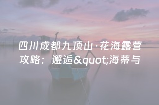 实测分享“广东雀神麻雀辅助器免费安装”（详细辅助教程）-哔哩哔哩