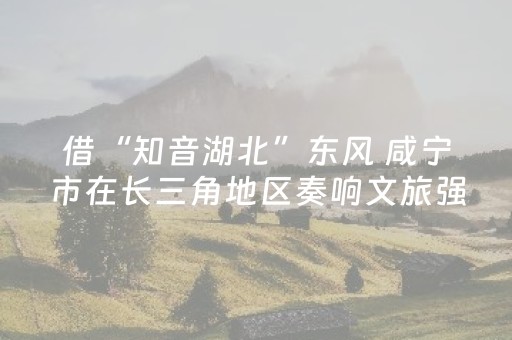 玩家实测“微乐安徽麻将赢牌的技巧”（详细透视教程）-哔哩哔哩