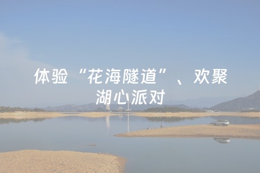 2分钟秒懂！“开心十三张怎么拿好牌”（详细透视教程）-哔哩哔哩