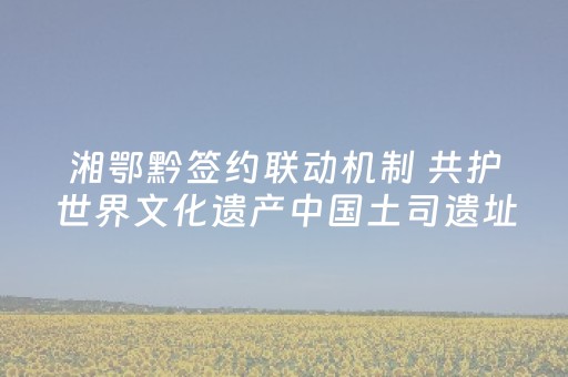 玩家必看攻略“微乐湖南小程序免费黑科技”（详细透视教程）-哔哩哔哩