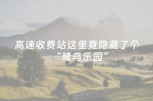 终于发现“微乐免费房间怎么提升胜率”（详细透视教程）-哔哩哔哩